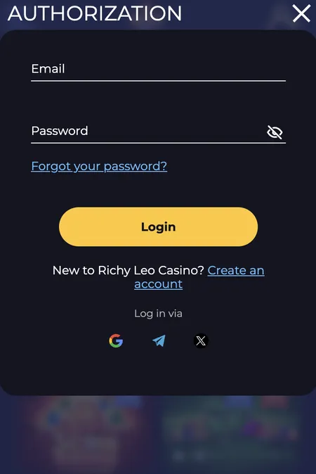 Richy Leo login screen with email and password fields